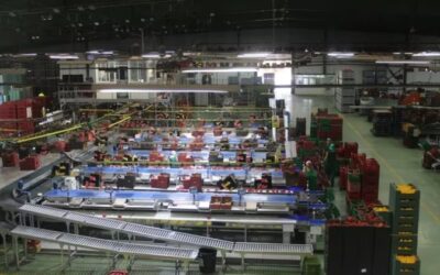 AYUDAS JUNTA ANDALUCÍA TRANSF. Y COMERC. PRODUCTOS AGROALIMENTARIOS