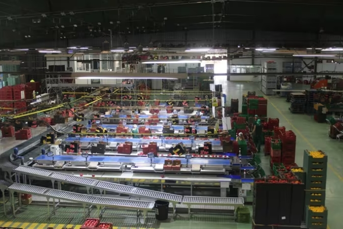 AYUDAS JUNTA ANDALUCÍA TRANSF. Y COMERC. PRODUCTOS AGROALIMENTARIOS