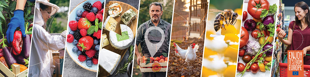 CONVOCATORIA 2026 COMISIÓN EUROPEA DE ACTIVIDADES PARA LA PROMOCIÓN DE PRODUCTOS AGROALIMENTARIOS SOSTENIBLES Y DE ALTA CALIDAD.